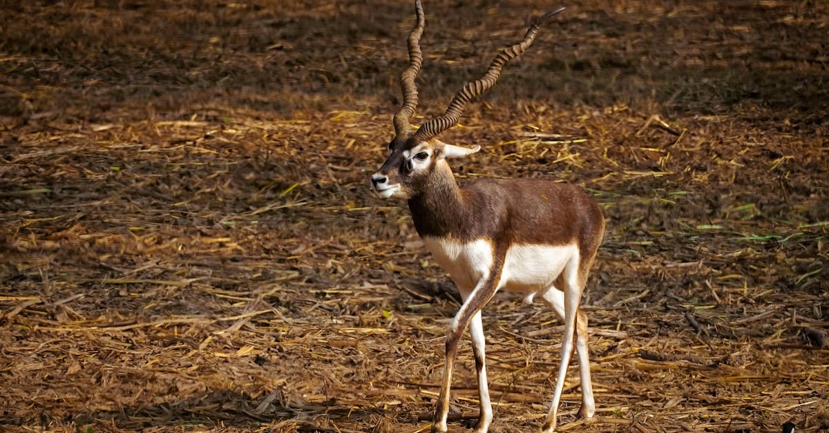 découvrez les critères et le seuil de monétisation sur instagram pour commencer à générer des revenus grâce à votre contenu.