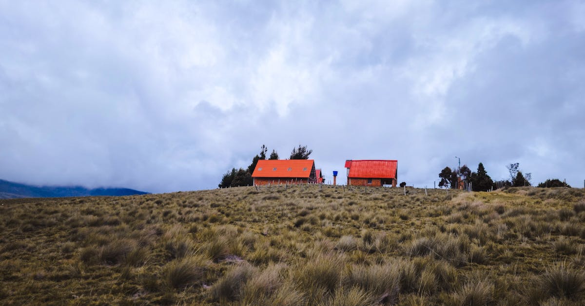 connectez-vous facilement à telenet webmail pour gérer vos emails rapidement et en toute sécurité. accédez à votre messagerie en ligne partout et à tout moment.