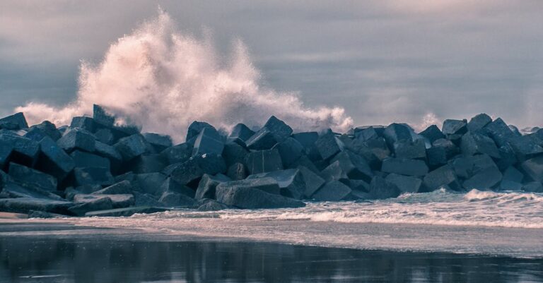 découvrez ce qu'est le point mort (break-even point), son importance en gestion d'entreprise, et comment le calculer pour assurer la rentabilité de votre activité.