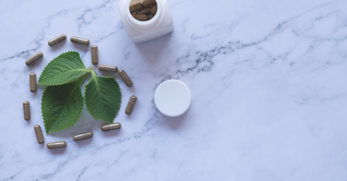 natrivex : découvrez des solutions naturelles innovantes pour votre bien-être au quotidien.