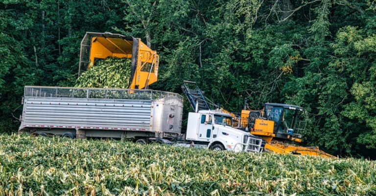 découvrez tout sur le transfert inconnu : définitions, implications et guide complet pour mieux comprendre ce concept.