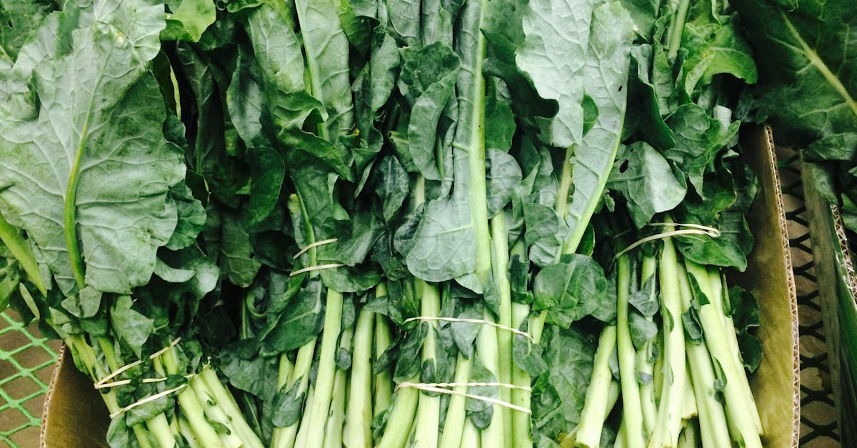 découvrez colefa, votre partenaire de confiance pour des solutions innovantes et personnalisées adaptées à vos besoins.