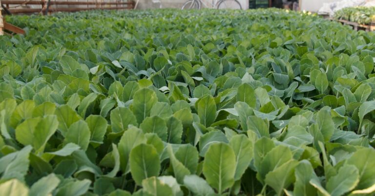 colefa est une entreprise spécialisée dans la fabrication et la distribution de solutions innovantes. découvrez nos produits et services adaptés à vos besoins.