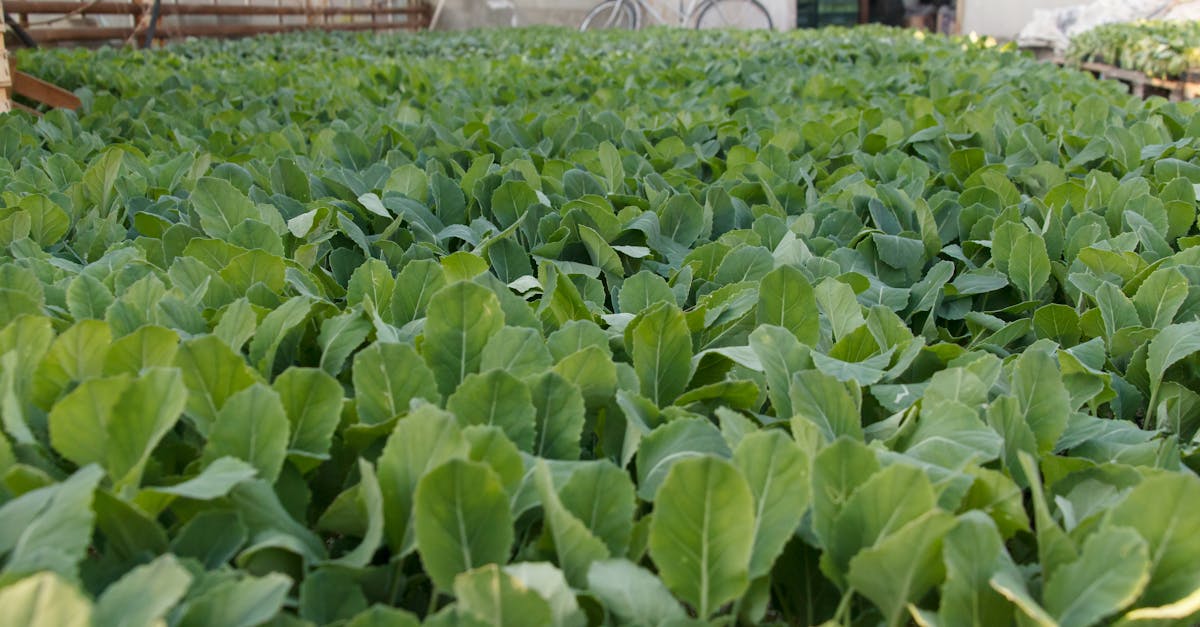 colefa est une entreprise spécialisée dans la fabrication et la distribution de solutions innovantes. découvrez nos produits et services adaptés à vos besoins.