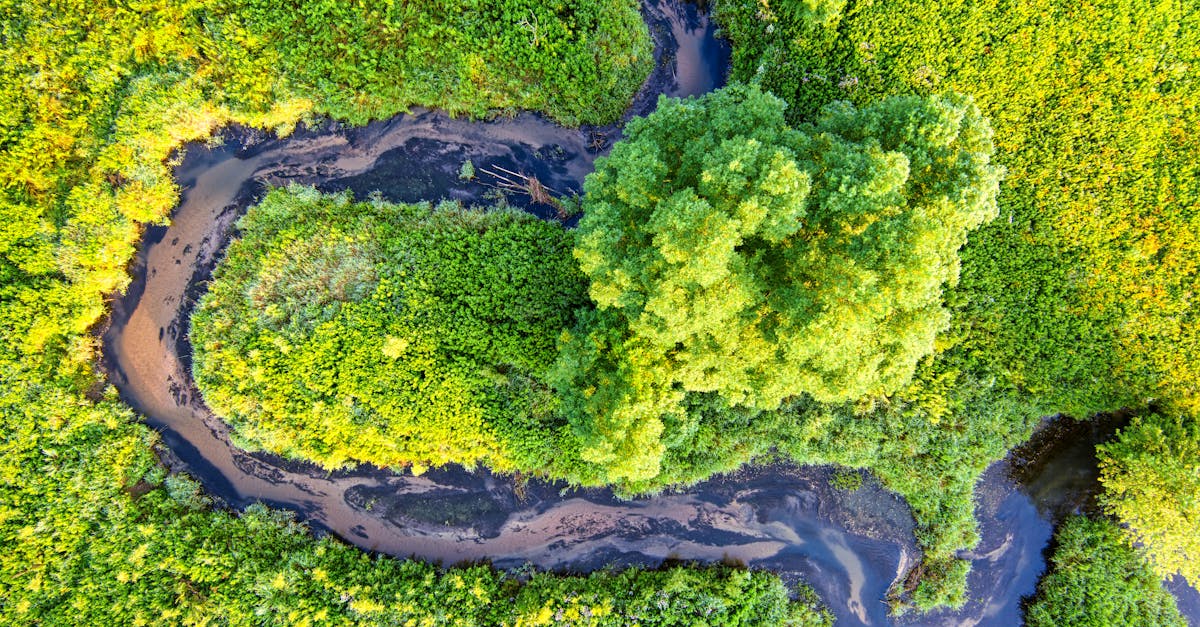 découvrez les réglementations environnementales essentielles pour protéger notre planète et assurer un développement durable.