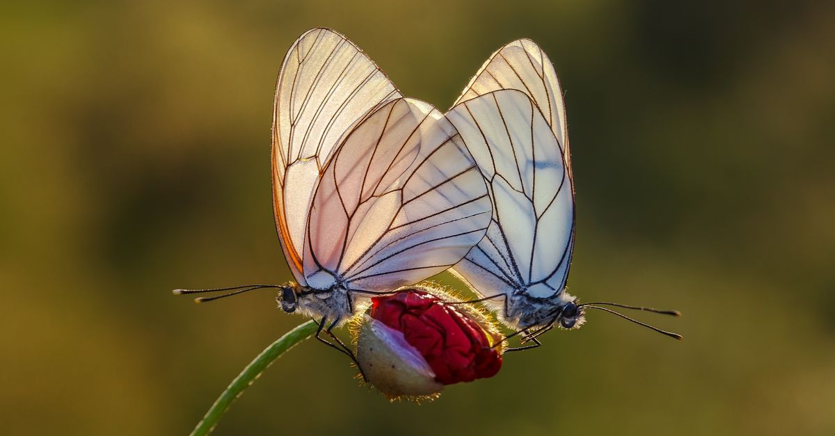 découvrez le concept de coexistence et l'importance de vivre ensemble en harmonie malgré nos différences.
